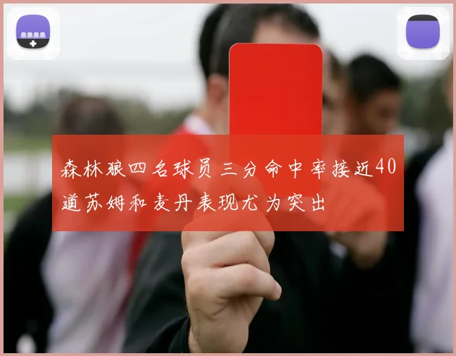 森林狼四名球员三分命中率接近40道苏姆和麦丹表现尤为突出