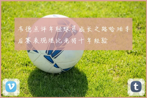 韦德点评年轻球员成长之路哈珀季后赛表现堪比老将十年经验
